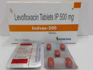 Levofloxacin 500 mg Tablets