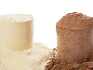 Pharma Franchise for Nutritional Protein Powder