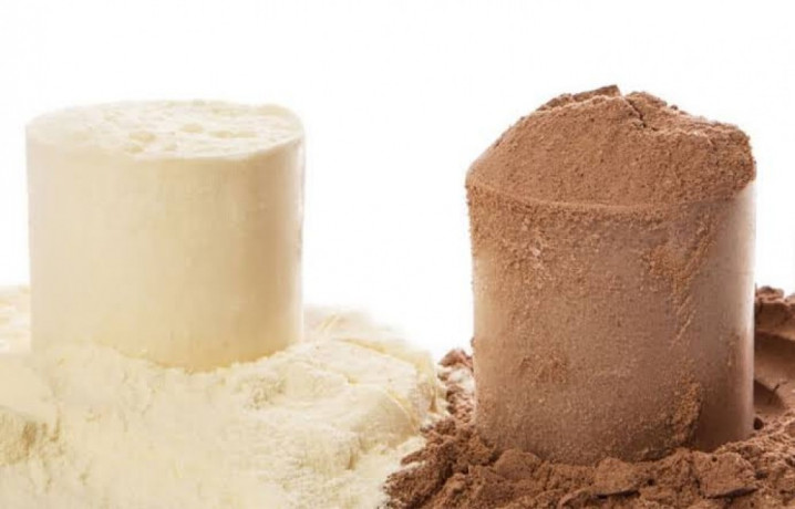 Pharma Franchise for Nutritional Protein Powder 1