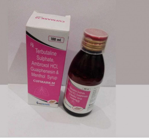 Terbutaline 1.25 mg, Ambroxol 15 mg, Guaiphenesin 50 mg & Menthol 1 mg Syrup 1