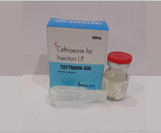 Sterile Ceftriaxone Sodium 500 mg Injection 1