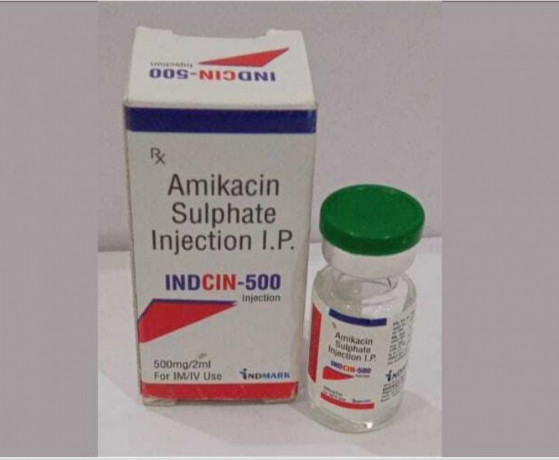 Amikacin 500 mg Injection 1