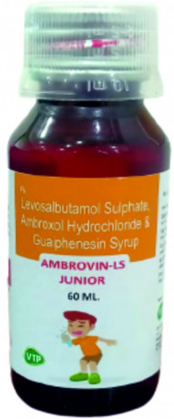 Ambroxol HCI 15mg + Guaiphenesin 50mg + Levosalbutamol Sulphate 0.5mg SYRUP 1