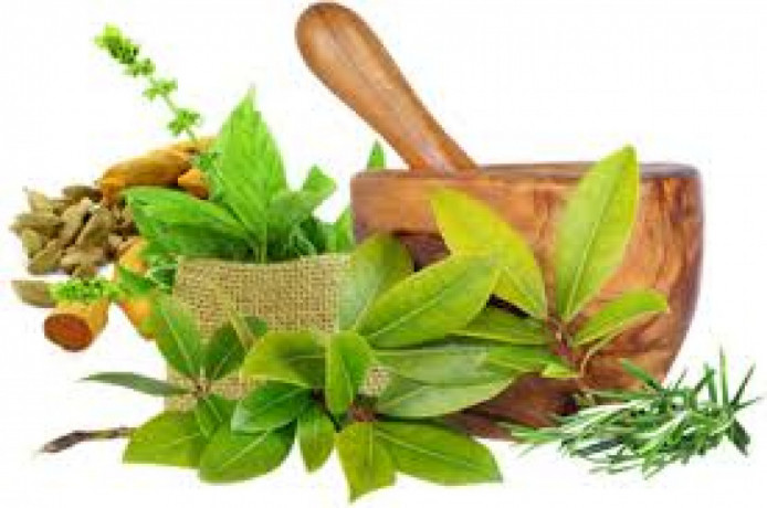 Ayurvedic Products Manufacturers in Chandigarh 1