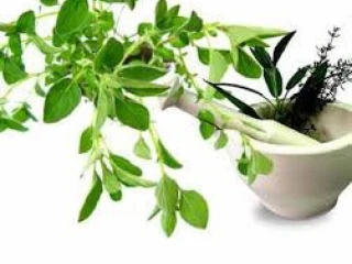 Top Ayurvedic Products Manufactrers in Ambala