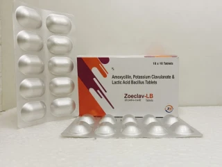 Amoxicillin,Potassium clavulanate & Lactic Acid Bacillus
