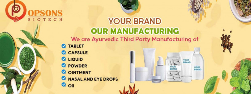Ayurvedic Herbal Products Manufacturing 2