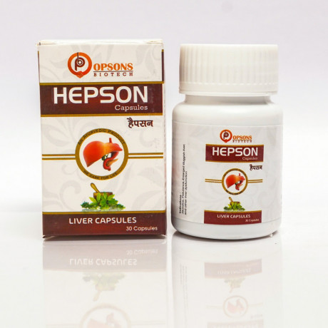 Hepson A complete Ayurvedic Liver Tonic Capsules 30CAP 1
