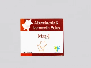 MAZ I BOLUS