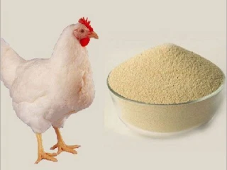 Poultry Products Suppliers