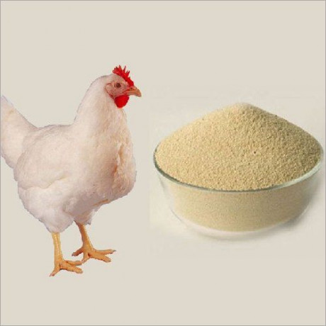 Poultry Products Suppliers 1