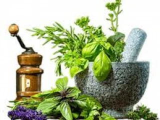 Ayurvedic PCD Pharma Franchise Company