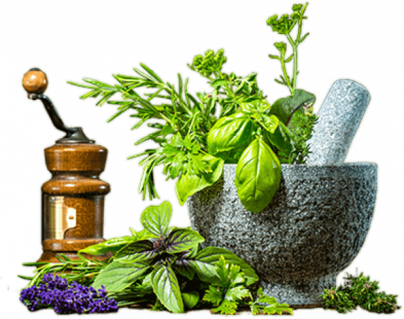 Franchise of Ayurvedic Products 1