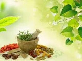 Ayurvedic Products Manufacturers