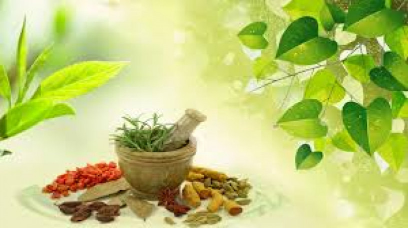 Ayurvedic Products Manufacturers 1