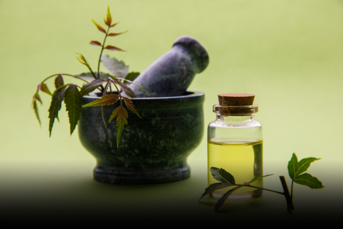 Ayurvedic Pain Oil Manufacturing Company 1