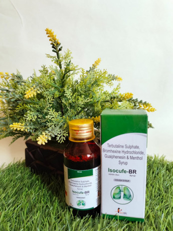 Terbutaline sulphate 1.25mg, Bromhexine Hcl 4mg, Guaiphensin 50mg, Menthol 2.5 mg Syrup 1