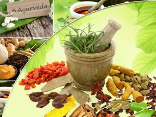 Ayurvedic Products Manufacturers in Chandigarh