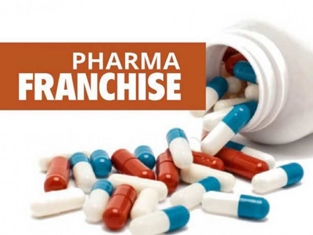 Pharma Franchise Company in Manimajra 1