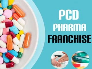 Top PCD Franchise Company