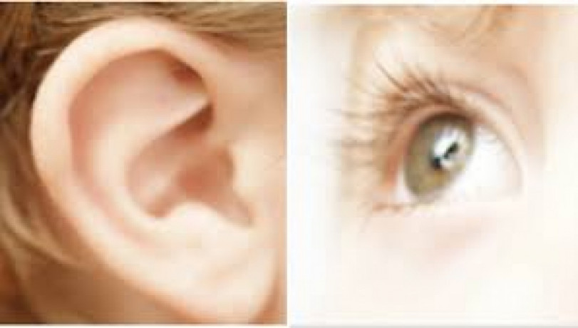 Top Eye & Ear Drops Manufacturing Company 1