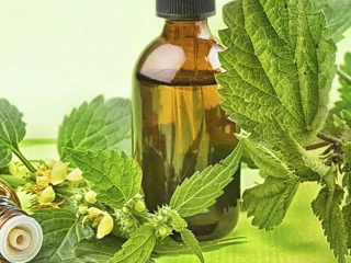 Ayurvedic Medicine Manufacturers in Haryana