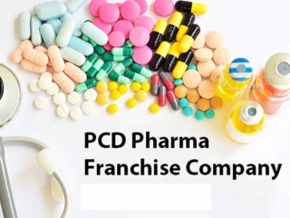 Top PCD Franchise Company