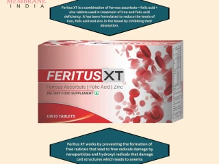 Feritus XT