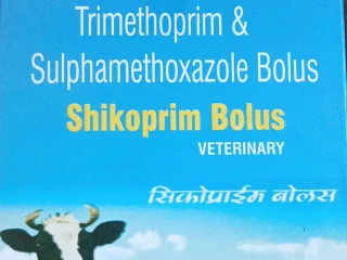 SULFAMETHOXAZOLE+TRIMETHOPRIM