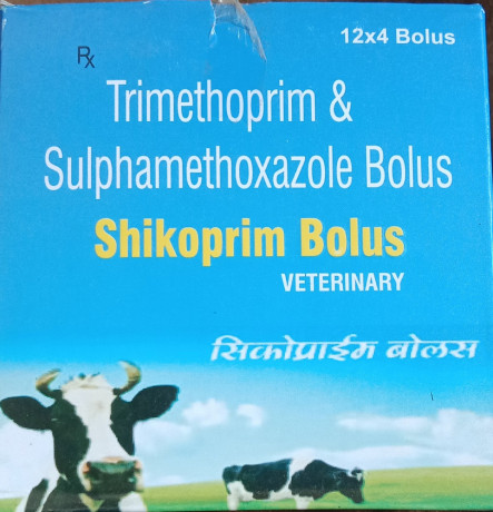 SULFAMETHOXAZOLE+TRIMETHOPRIM 1