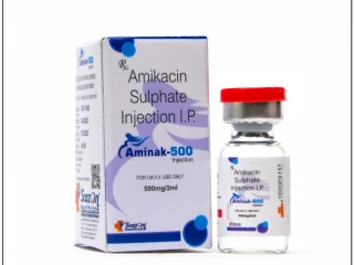AMIKACIN 500 Mg Injection