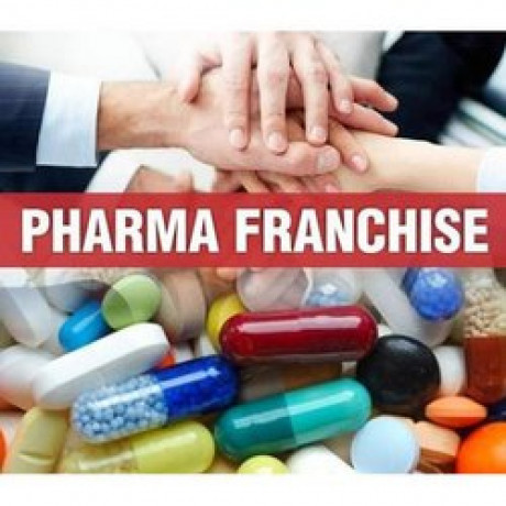 Pharma Franchise Company 1