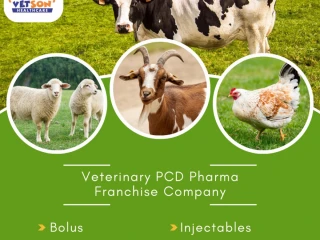 Best Veterinary PCD Pharma Franchise Company