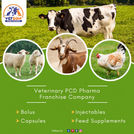 Best Veterinary PCD Pharma Franchise Company 1