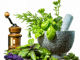 Best Ayurvedic Franchise Company