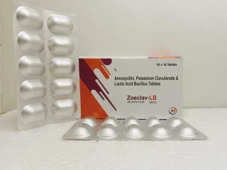 Amoxycillin 500mg+Clavulanic Acid 125mg & Lactic Acid Bacillus