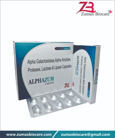 Alpha galactosidase lipase alpha amylase protease , lactase & Lipase capsules 1