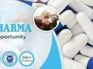 Top pharma franchise companies in Madhya Pradesh