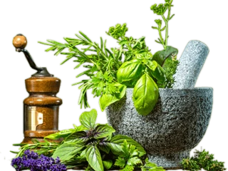 Ayurvedic Products Manufacturers in Haryana