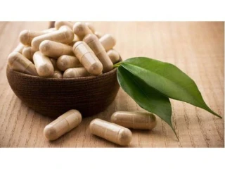 Ayurvedic Capsules Manufacturers