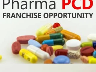 PG Based Pharma Company