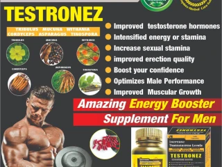 INCREASE TESTOSTERONE LEVEL