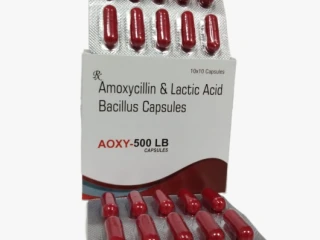 AMOXYCILLIN AND LACTIC ACID BACILLUS CAPSULES