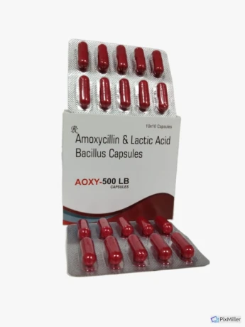 AMOXYCILLIN AND LACTIC ACID BACILLUS CAPSULES 1