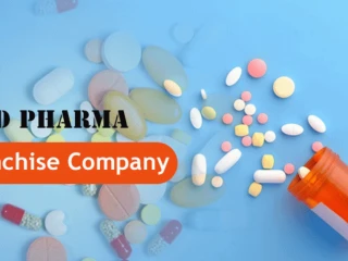 PG Based Pharma Company