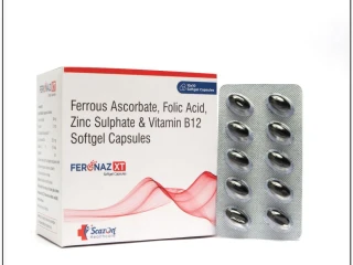 Ferrous Ascorbate 100 Mg + Folic Acid 1.5 Mg + Zinc Sulphate 22.5 Mg + Vitamin B12 15 Mcg Capsule