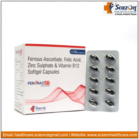 Ferrous Ascorbate 100 Mg + Folic Acid 1.5 Mg + Zinc Sulphate 22.5 Mg + Vitamin B12 15 Mcg Capsule 1