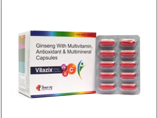 Ginseng 42.5 Mg+ Multivitamin + Anitoxidant + Multimineral Capsules
