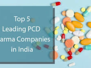 Top 5 leading Pharma Franchise Companies in india