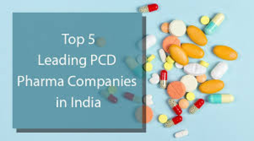 Top 5 leading Pharma Franchise Companies in india 1
